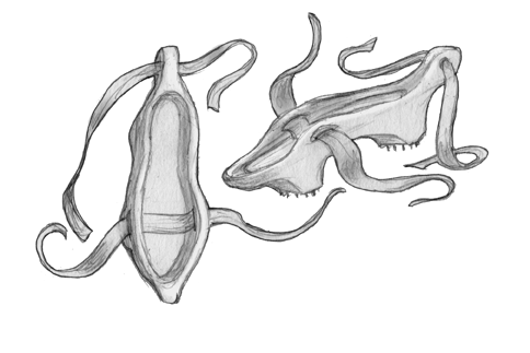 Patens