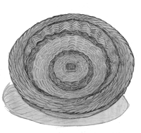 basketry