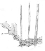 hurdles