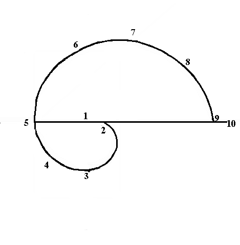 Beauty Spiral