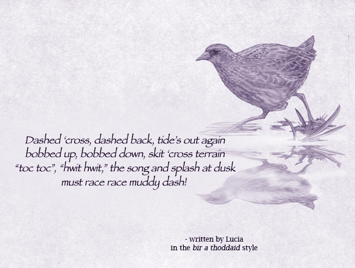 bird