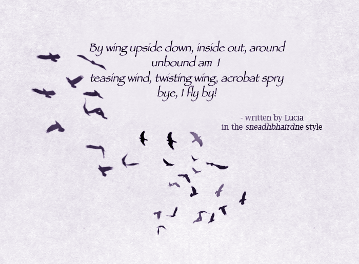crows