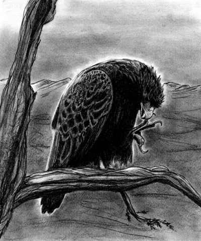 Eagle