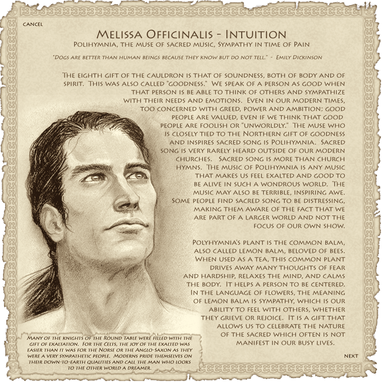 Intuition