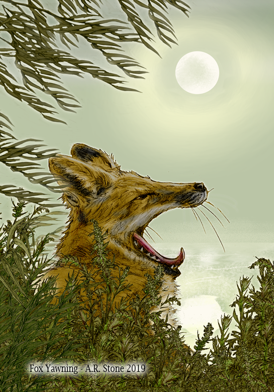 Fox Yawning page