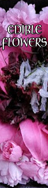 Edible Flowers