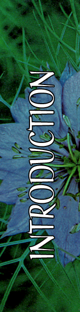 Introduction