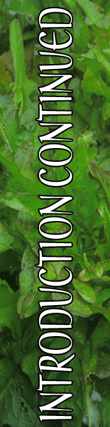 Introduction
