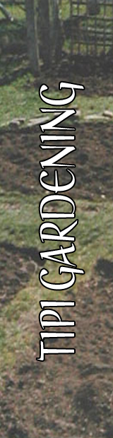 Tipi Gardening