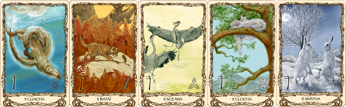 Cards