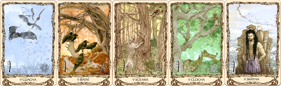 Cards