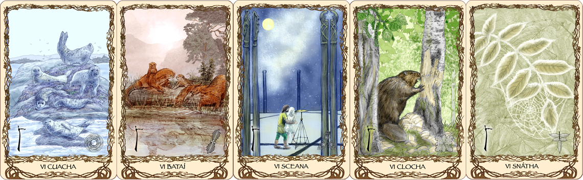Cards