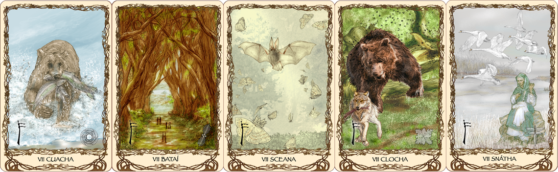 Cards
