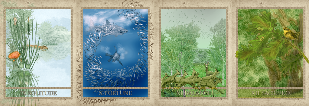 Cards