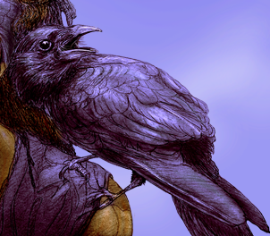 Crow