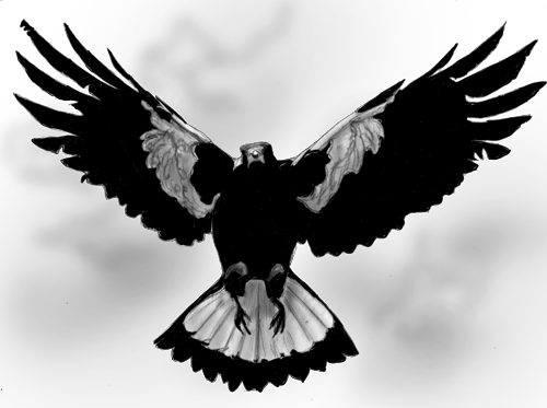 Magpie
