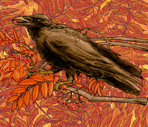 Raven