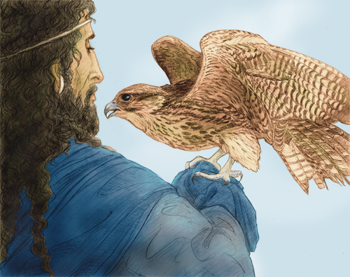 Falcon