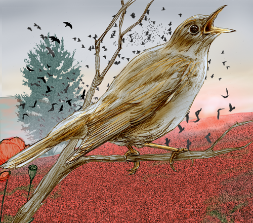 Nightingale