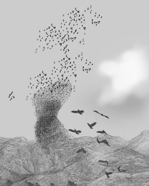 Starling