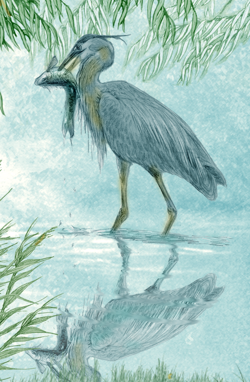 Heron