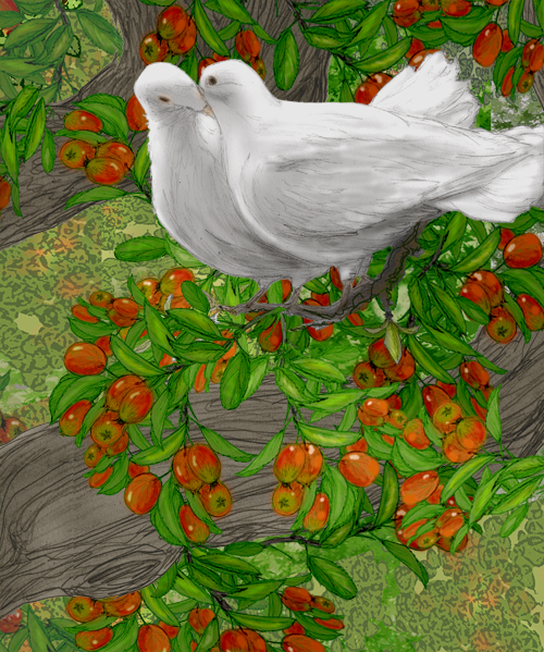 Doves