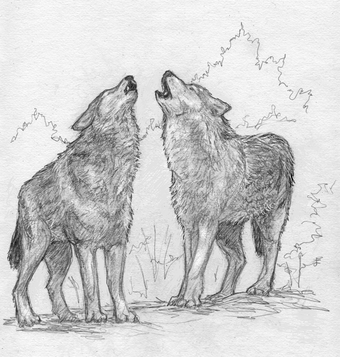 Wolves